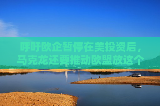 呼吁欧企暂停在美投资后，马克龙还要推动欧盟放这个大招
