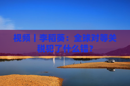 视频丨李稻葵：全球对等关税犯了什么错？