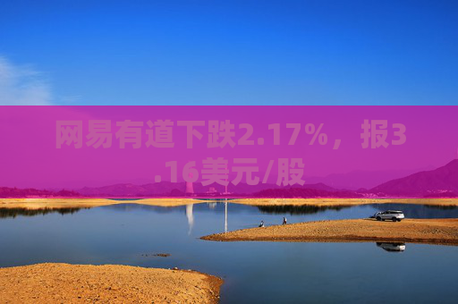 网易有道下跌2.17%，报3.16美元/股