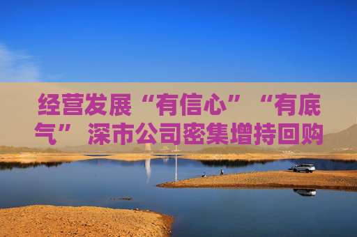 经营发展“有信心”“有底气” 深市公司密集增持回购
