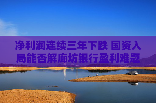 净利润连续三年下跌 国资入局能否解廊坊银行盈利难题