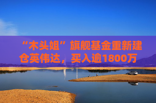 “木头姐”旗舰基金重新建仓英伟达，买入逾1800万美元