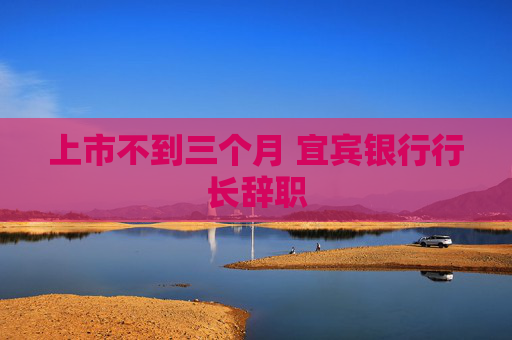上市不到三个月 宜宾银行行长辞职