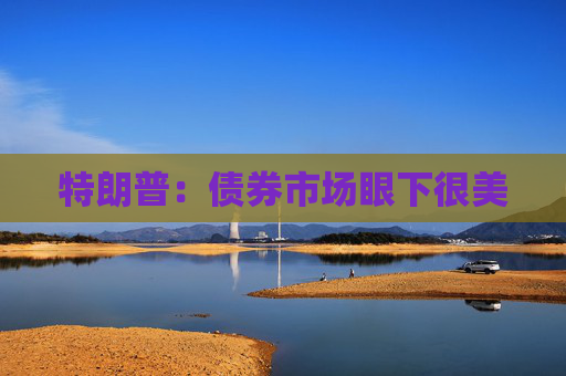 特朗普：债券市场眼下很美