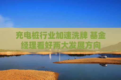 充电桩行业加速洗牌 基金经理看好两大发展方向