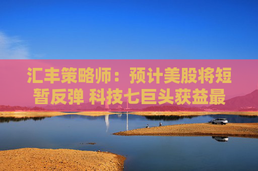 汇丰策略师：预计美股将短暂反弹 科技七巨头获益最多