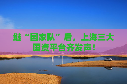 继“国家队”后，上海三大国资平台齐发声！