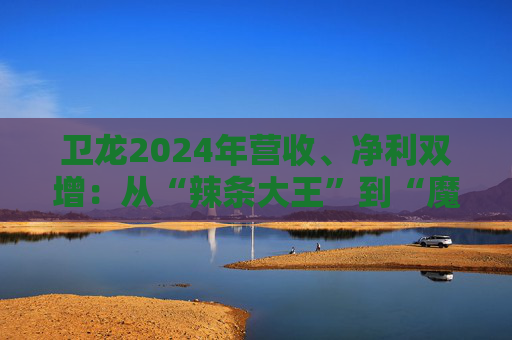 卫龙2024年营收、净利双增：从“辣条大王”到“魔芋巨头”的战略转型与增长密码