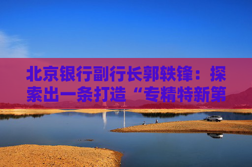 北京银行副行长郭轶锋：探索出一条打造“专精特新第一行”的差异化发展道路