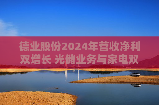 德业股份2024年营收净利双增长 光储业务与家电双轮驱动发力