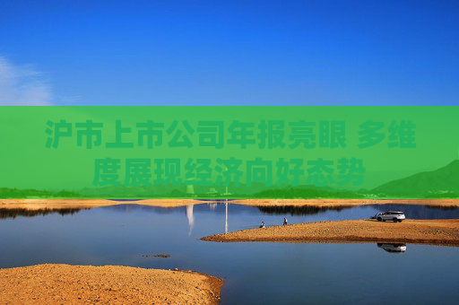 沪市上市公司年报亮眼 多维度展现经济向好态势