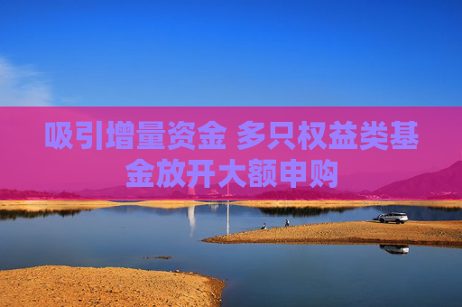 吸引增量资金 多只权益类基金放开大额申购