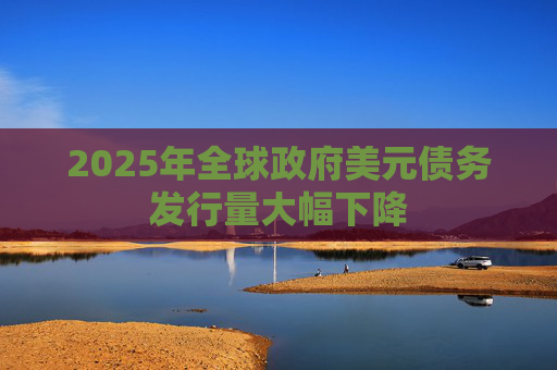 2025年全球政府美元债务发行量大幅下降