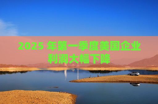 2025 年第一季度美国企业利润大幅下降