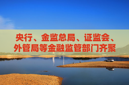 央行、金监总局、证监会、外管局等金融监管部门齐聚陆家嘴论坛，若干重大政策发布在即