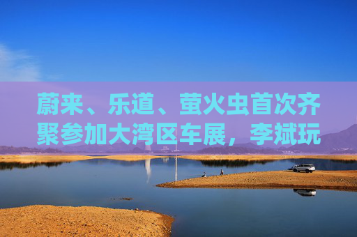 蔚来、乐道、萤火虫首次齐聚参加大湾区车展，李斌玩起谐音梗“为了赢”