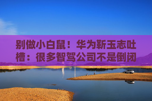 别做小白鼠！华为靳玉志吐槽：很多智驾公司不是倒闭就是做机器人去了