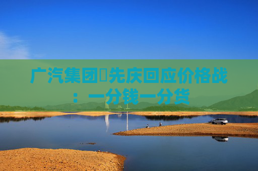 广汽集团閤先庆回应价格战：一分钱一分货