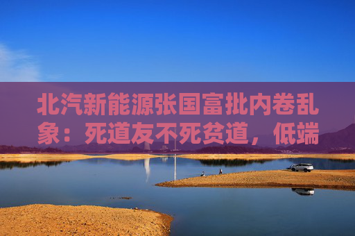 北汽新能源张国富批内卷乱象：死道友不死贫道，低端竞争是一条死胡同