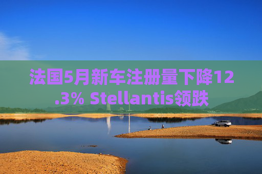 法国5月新车注册量下降12.3% Stellantis领跌