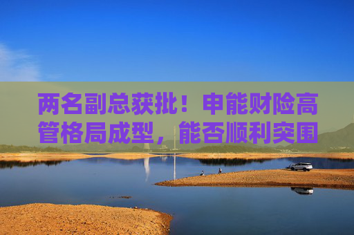 两名副总获批！申能财险高管格局成型，能否顺利突围？