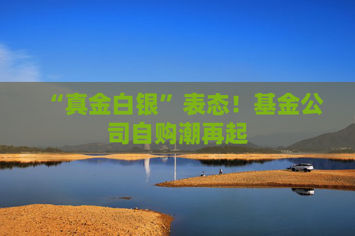 “真金白银”表态！基金公司自购潮再起