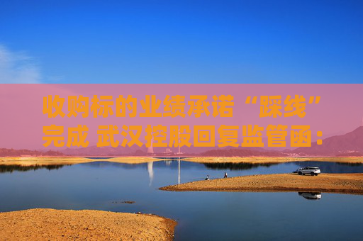 收购标的业绩承诺“踩线”完成 武汉控股回复监管函：不存在提前确认收入情形
