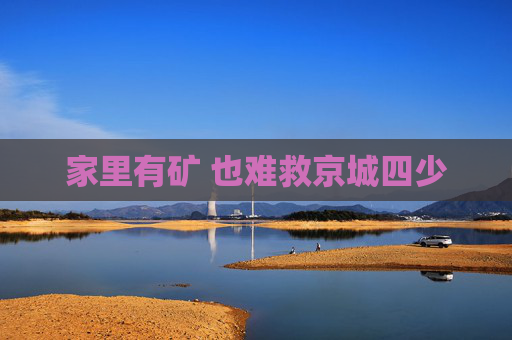 家里有矿 也难救京城四少