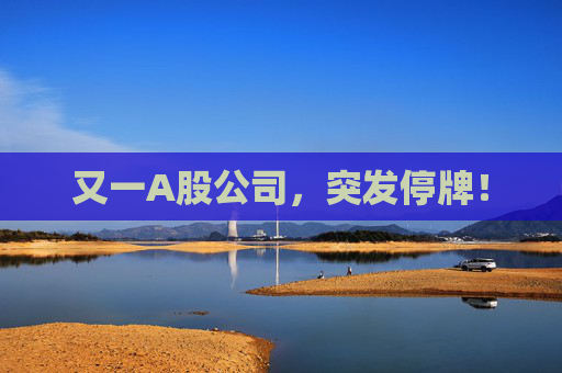 又一A股公司，突发停牌！