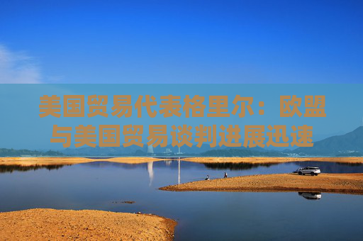 美国贸易代表格里尔：欧盟与美国贸易谈判进展迅速