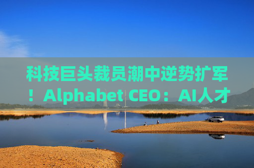科技巨头裁员潮中逆势扩军！Alphabet CEO：AI人才明年继续增长