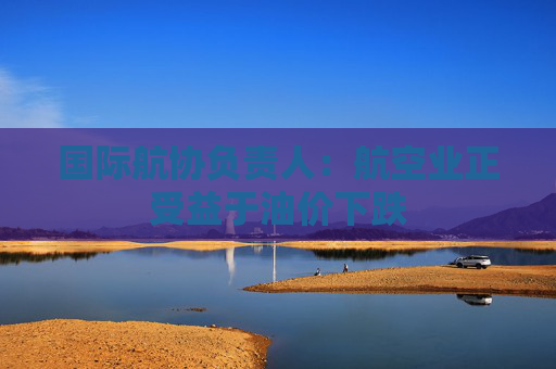国际航协负责人：航空业正受益于油价下跌