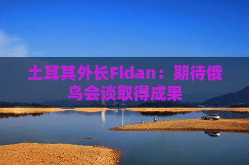 土耳其外长Fidan：期待俄乌会谈取得成果