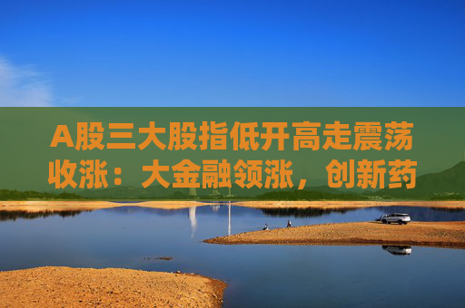 A股三大股指低开高走震荡收涨：大金融领涨，创新药概念股表现活跃