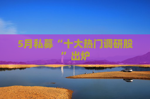 5月私募“十大热门调研股”出炉