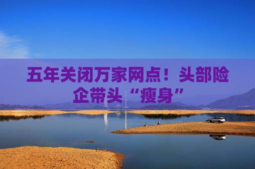 五年关闭万家网点！头部险企带头“瘦身”