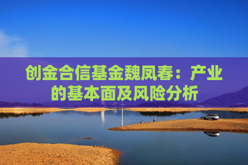 创金合信基金魏凤春：产业的基本面及风险分析