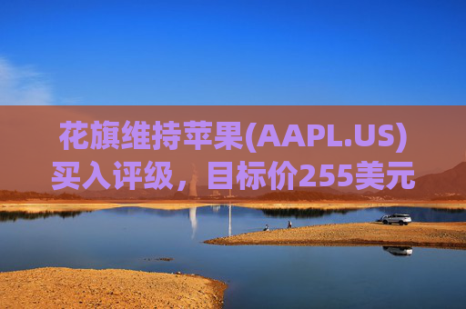 花旗维持苹果(AAPL.US)买入评级，目标价255美元