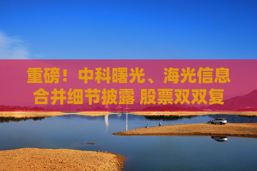 重磅！中科曙光、海光信息合并细节披露 股票双双复牌