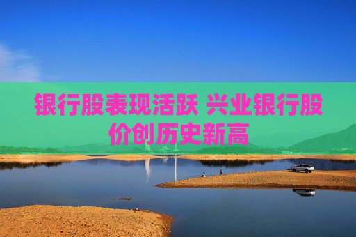 银行股表现活跃 兴业银行股价创历史新高