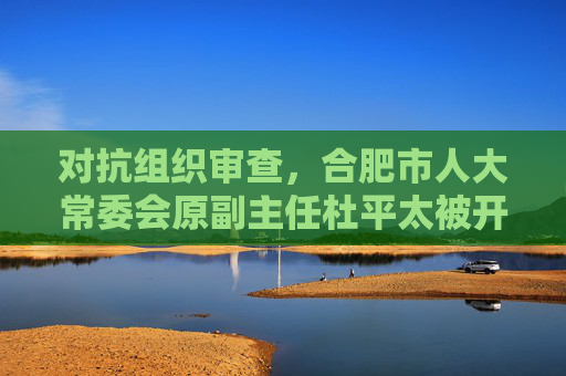 对抗组织审查，合肥市人大常委会原副主任杜平太被开除党籍