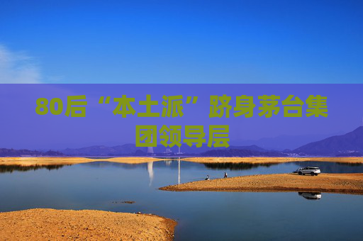 80后“本土派”跻身茅台集团领导层