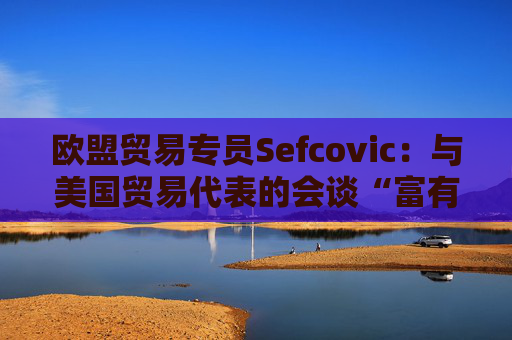 欧盟贸易专员Sefcovic：与美国贸易代表的会谈“富有成效”