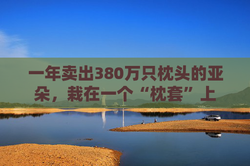 一年卖出380万只枕头的亚朵，栽在一个“枕套”上