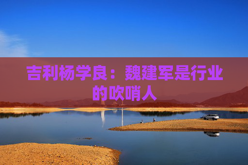 吉利杨学良：魏建军是行业的吹哨人