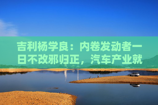 吉利杨学良：内卷发动者一日不改邪归正，汽车产业就不可能由大变强