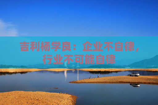 吉利杨学良：企业不自律，行业不可能自律