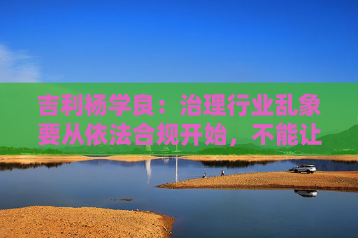 吉利杨学良：治理行业乱象要从依法合规开始，不能让遵纪守法者吃亏