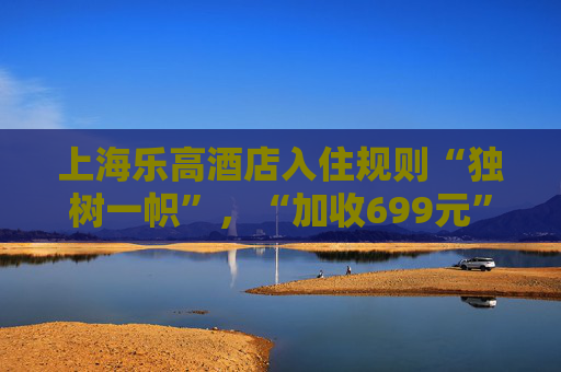 上海乐高酒店入住规则“独树一帜”，“加收699元”引质疑