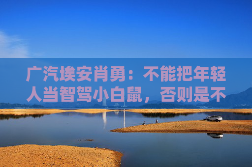广汽埃安肖勇：不能把年轻人当智驾小白鼠，否则是不讲良心